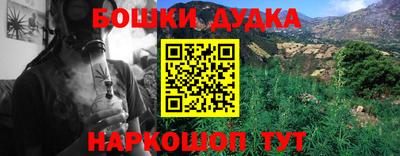 молекула духа Донской
