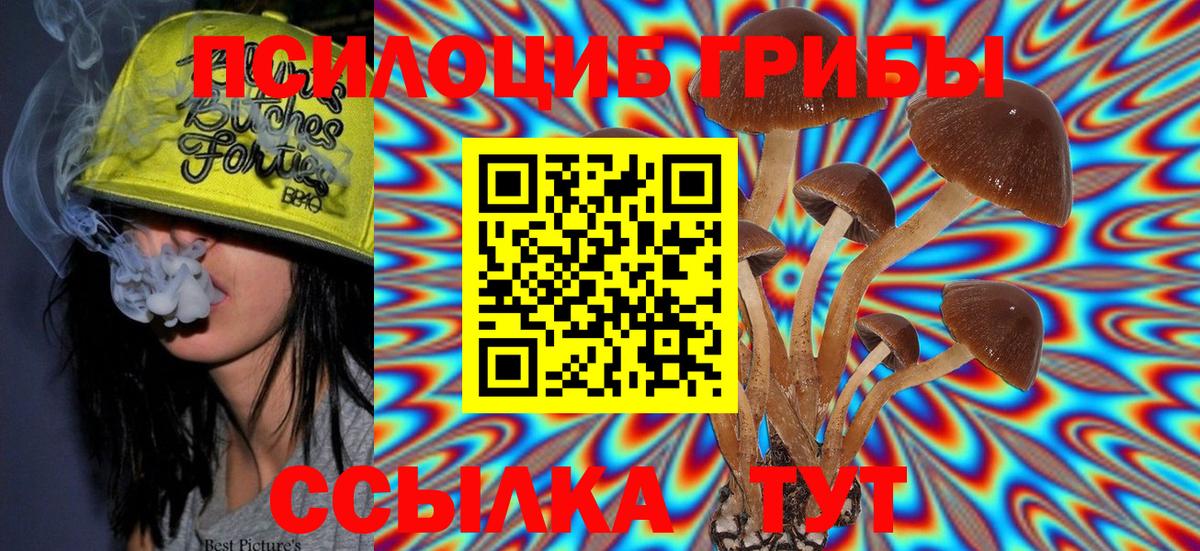 Псилоцибиновые грибы Cubensis  Галлюциногенные грибы прущие грибы  Лесосибирск  Вход с VPN 